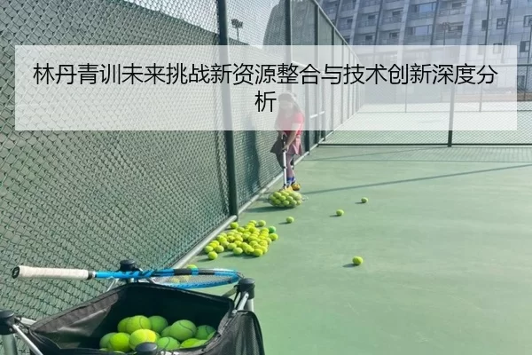 林丹青训未来挑战新资源整合与技术创新深度分析