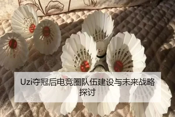 Uzi夺冠后电竞圈队伍建设与未来战略探讨