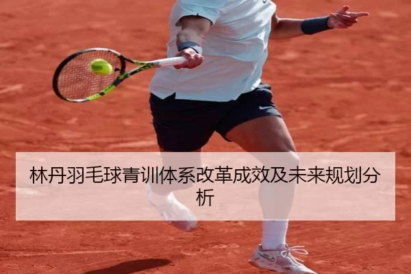 林丹羽毛球青训体系改革成效及未来规划分析