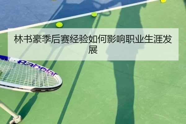 林书豪季后赛经验如何影响职业生涯发展